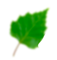 eau-vegetale-ui
