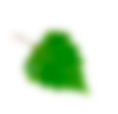 eau-vegetale-ui