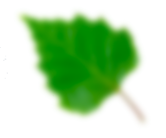ui-eau-vegetale