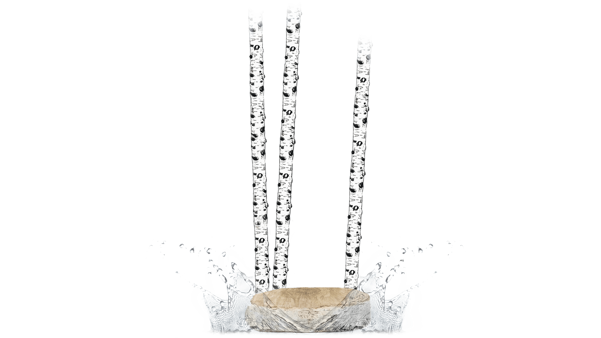 bouleau-eau-vegetale-ui