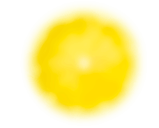bouteille-eau-vegetale-citron