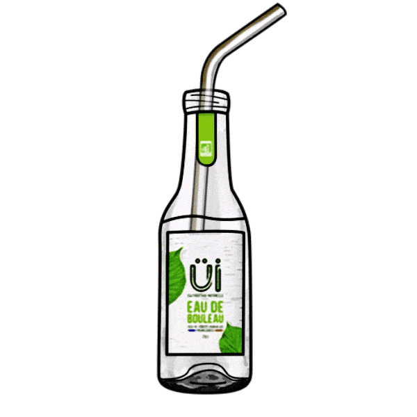 bouteille-eau-vegetale-nature